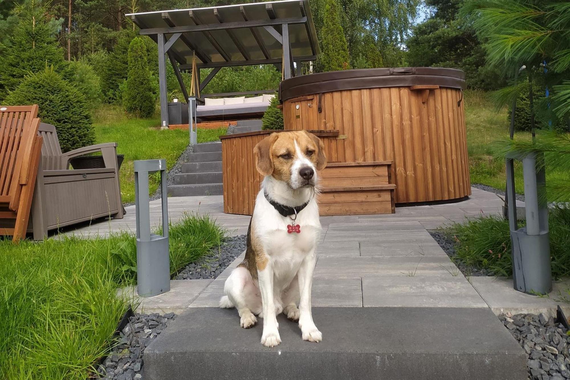 Dom Na Wzgorzu Z Widokiem Na Jezioro Z Balia I Sauna Lipnica  Exterior photo